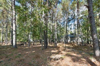 34202 Conroe Huffsmith Rd, Magnolia, TX 77354 - photo 4