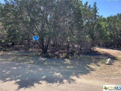 15963 Salado Dr, Temple, TX 76502 - photo 3