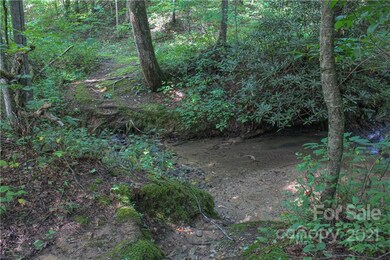 000 Fiver Ln, Hendersonville, NC 28792 - photo 3