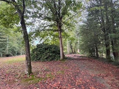 5915 Burruss Mill Rd Tract 1, Cumming, GA 30041 - photo 2