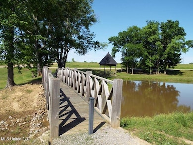 18-8 Windermere Blvd unit 18-8, Madison, MS 39110 - photo 6