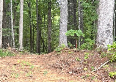 Lot 5 Felix Rd, Murphy, NC 28906 - photo 4