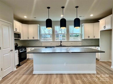 234 Ferebee Place unit BRX0075, Charlotte, NC 28213 - photo 2