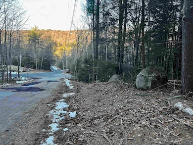 4 Cheshire Cir, Gilford, NH 03249 - photo 4