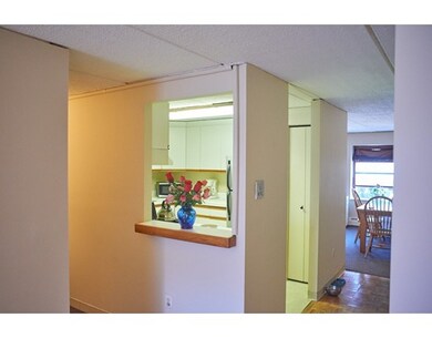 20 Rockland St unit 3, Roxbury, MA 02119 - photo 4