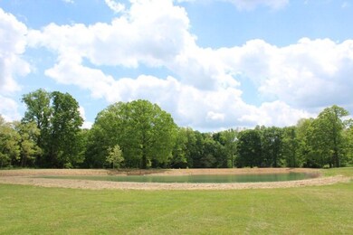 6751 Rocky Point Rd, Cookeville, TN 38506 - photo 3