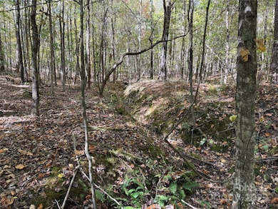 Dry creek area towards the back of the parcel.