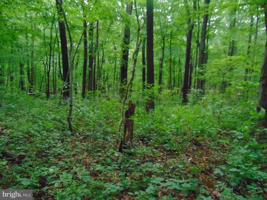 24 Woods Ln, Barto, PA 19504 - photo 4