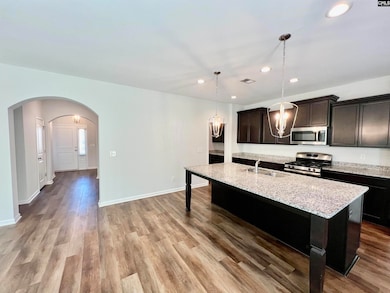 1351 Tamarind Ln, Chapin, SC 29036 - photo 5