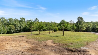 25 Creekview Ln, Altamont, TN 37301 - photo 4