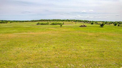 Lot 10 Pine Rd, Poolville, TX 76487 - photo 4