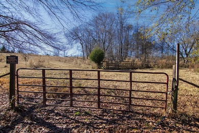 0 Saint Paul Church Rd, Shiloh, GA 31826 - photo 2