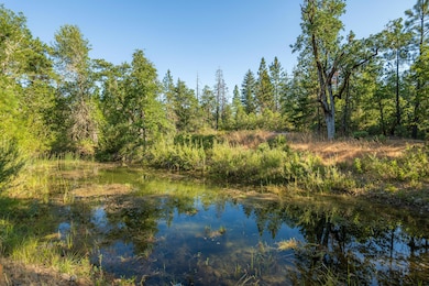 1257 Ridge Vista Dr, Cave Junction, OR 97523 - photo 6