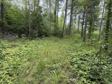 TBD Corner Rd, Java, VA 24565 - photo 7