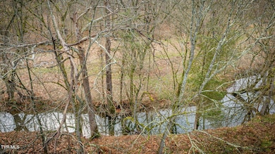 987 Highway 81 S, Jonesborough, TN 37659 - photo 3