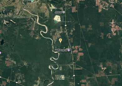 Pine St, Cleveland, TX 77327 - photo 6