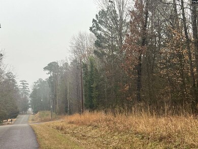 0 Murray Point Rd unit 602410, Saluda, SC 29006 - photo 2