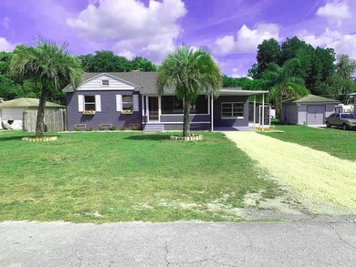 Long driveway and beautiful palm trees with widow 