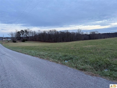 5 Lots at 3319 Allen Schoolhouse Rd, Columbia, KY 42728 - photo 3