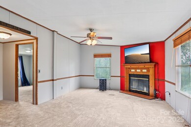 868 Hutch Mountain Rd, Fletcher, NC 28732 - photo 6