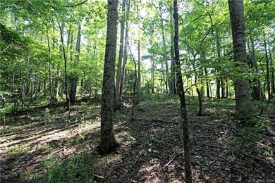 48 Shenandoah Rd unit 48, Lake Lure, NC 28746 - photo 5