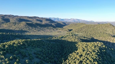 0 Paradise Springs Ranch unit 111039, Pine Valley, UT 84781 - photo 4