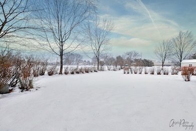 421 Chicory Ln, Buffalo Grove, IL 60089 - photo 5