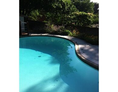 Yard/Garden. summer shot of pool