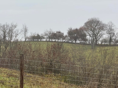 2800 Duncannon Ln, Richmond, KY 40475 - photo 3