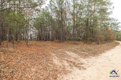 101 Mission Farm Rd, Gordon, GA 31031 - photo 4