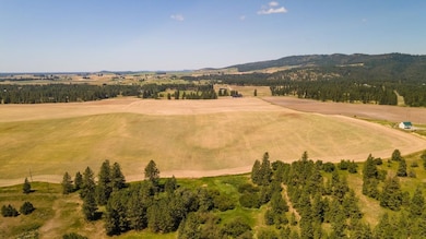 13507 E Gibbs Rd, Valleyford, WA 99023 - photo 7