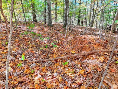 #20 Victoria Woods Cir, Hiawassee, GA 30546 - photo 6