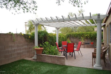 BACKYARD 4