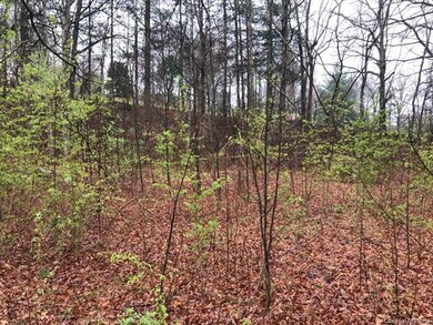 110 Baldwin Ave, Hendersonville, NC 28792 - photo 5