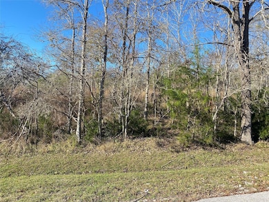 61 Piping Rock Place, Cape Royale, TX 77331 - photo 6