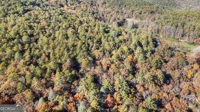 0 Wilderness End NW unit CM1022226, Clarkesville, GA 30523 - photo 6