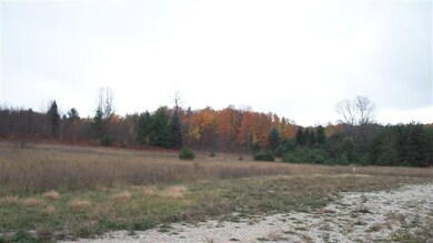 8118 Miller Rd unit Lot 19, Alanson, MI 49706 - photo 6