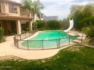 Resort-Style Backyard