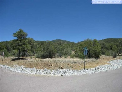LOT 162 Swan Street @ Chimboraza Point unit Dos Griegos Phase 5, Silver City, NM 88061 - photo 4