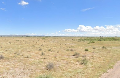 Platino Rd SE, Deming, NM 88030 - photo 5