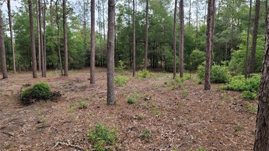 20775 SW 93rd Lane Rd, Dunnellon, FL 34431 - photo 4