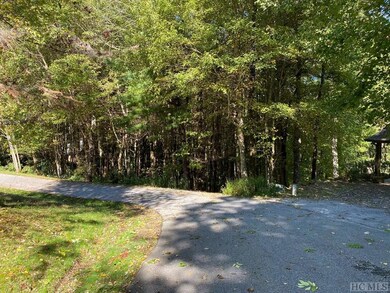 Lot 219 Drystack Way, Cashiers, NC 28717 - photo 6