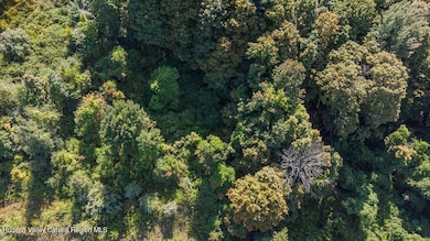 22 Old State Route, Amenia, NY 12501 - photo 4