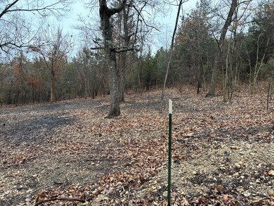 Lot 15 N Wilderness Trail, Kimberling City, MO 65686 - photo 6