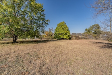 TBD Oakview Dr, Springtown, TX 76082 - photo 5