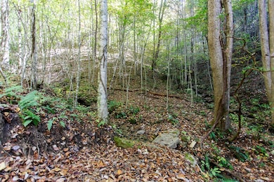 Lot 43 Falls View Rd, Bryson City, NC 28713 - photo 4