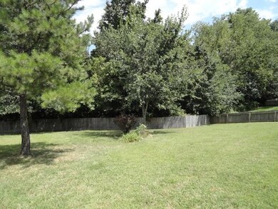 back yard (2)