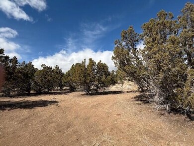 0 Parcel #01-0080-0026 unit 110250, Beaver, UT 84713 - photo 2