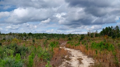 000 Private Road 6150, Woodville, TX 75979 - photo 4