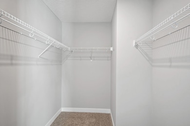 488 Blueridge St SW, Delano, MN 55328 - photo 6